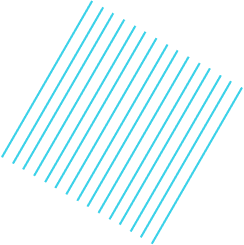 globetechsolutions.co.in