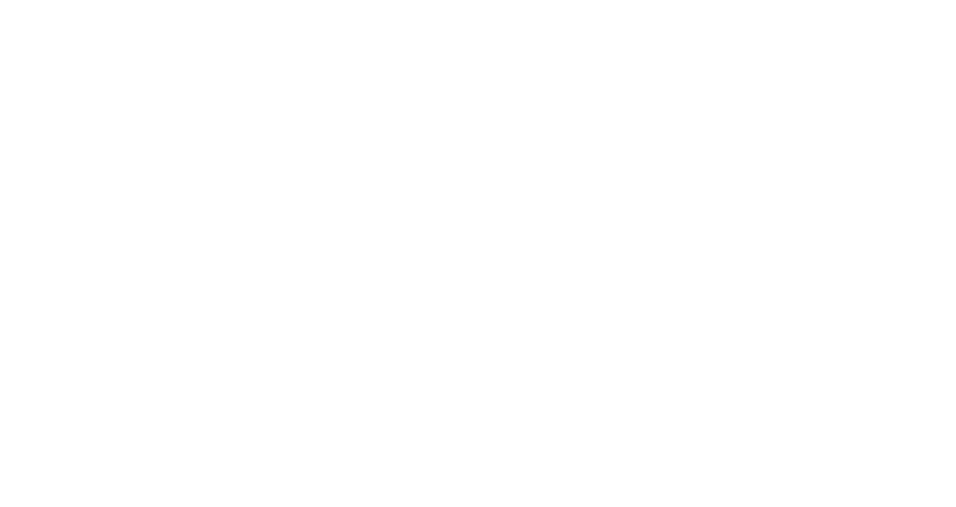 globetechsolutions.co.in