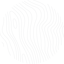 globetechsolutions.co.in